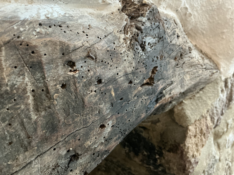 Photo of a timber mantel showing woodworm holes